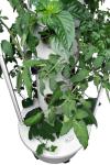 ALTO GARDEN GX Hydroponic Tower | Vertical Planter Tower | Hydroponics Growing System Kit | Food Grade with 24 Net Pots (with LED Grow Lights)