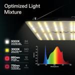 VIVOSUN 2x2 ft Grow Tent Kit with Light & Fan