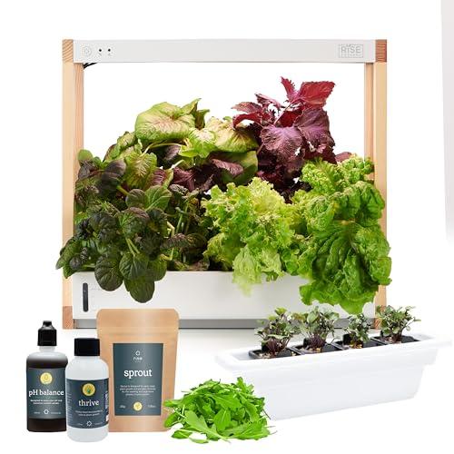 Countertop Hydroponics