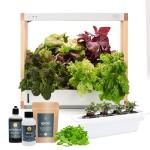 RISE Gardens - Personal Indoor Hydroponic Garden Kit with LED