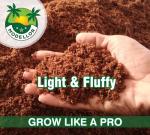 Premium Coco Coir Bricks for Urban Gardening