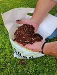 Coco Coir Perlite Mix for Healthy Plants