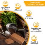 Organic Coco Coir Bricks - Natural Plant Soil