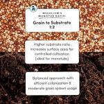 Organic CVG Substrate Blend for Easy Mushroom Growing
