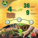 Premium Coco Coir Bricks for Urban Gardening
