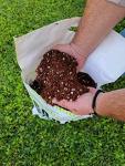 Coco Coir Perlite Mix for Healthy Plants