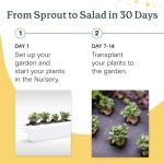 RISE Gardens - Personal Indoor Hydroponic Garden Kit with LED