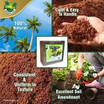 Premium Coco Coir Bricks for Urban Gardening