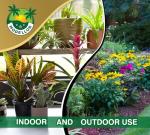 Premium Coco Coir Bricks for Urban Gardening