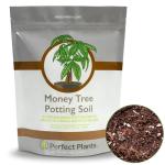 Organic Coco Coir Soil for Indoor Trees