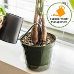 Organic Coco Coir Soil for Indoor Trees