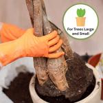 Organic Coco Coir Soil for Indoor Trees