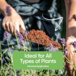 Coconut Coir Brick - Organic Potting Mix