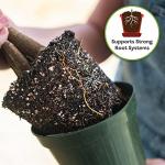 Organic Coco Coir Soil for Indoor Trees
