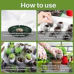 50PCS Peat Pellets for Easy Seed Starting