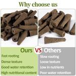 50 Hydroponic Grow Sponges for Seed Starting
