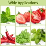 50 Hydroponic Grow Sponges for Seed Starting