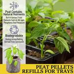 100 Peat Pellets for Easy Seed Starting