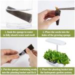 50 Hydroponic Grow Sponges for Seed Starting