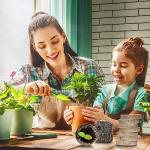 50PCS Peat Pellets for Seed Starting