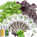 Hydroponics Basil Seed Pod Kit – 8 Pods