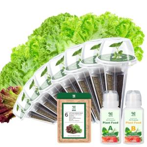 Versatile Lettuce Seed Pod Kit for Hydroponics