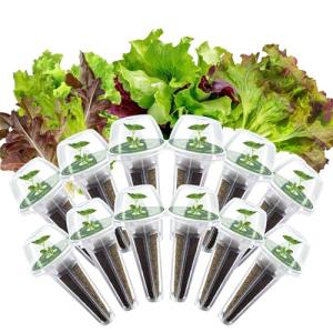 Lettuce Seed Pods Kit for Indoor Hydroponics