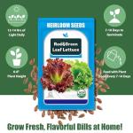 Lettuce Seed Pods Kit for Indoor Hydroponics