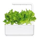 Easy Green Lettuce Pods for Smart Garden