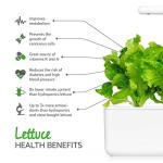 Easy Green Lettuce Pods for Smart Garden