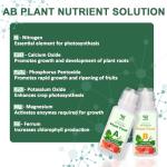 Versatile Lettuce Seed Pod Kit for Hydroponics