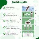 Lettuce Seed Pods Kit for Indoor Hydroponics