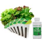 Heirloom Salad Greens AeroGarden Seed Pod Kit