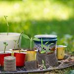 200 Peat Pellet Seed Starters for Easy Gardening