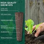 161-Piece Hydroponic Seed Pod Starter Kit