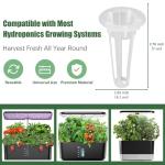 Lettuce Seed Pods Kit for Indoor Hydroponics