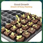 Eco-Friendly Seed Starter Pods - 80-Pack
