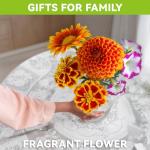 Fragrant Flower Seed Pod Kit for AeroGardens