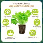 Eco-Friendly Seed Starter Pods - 80-Pack