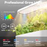 Hydroponics Indoor Herb Garden with LED Grow Light