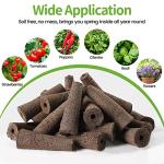 30 Pack Grow Sponges for Hydroponic Gardening