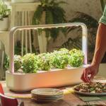 Click and Grow - Indoor Herb Garden Kit with Grow Light