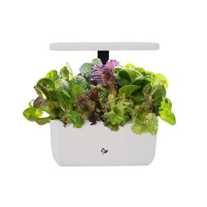 AeroGarden Harvest 2.0 Hydroponic Indoor Garden
