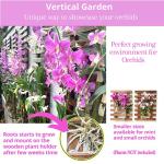 Wooden Wall Planter Set for Indoor Outdoor Plants