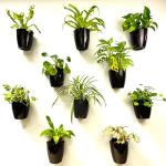 LaLaGreen 10-Pack Self-Watering Wall Planters