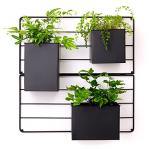 KASSELL Wall-Mounted Vertical Garden Planter
