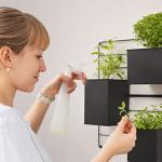 KASSELL Wall-Mounted Vertical Garden Planter