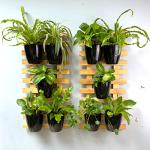 LaLaGreen 10-Pack Self-Watering Wall Planters
