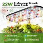 Indoor Hydroponics Herb Garden Kit with Grow Light