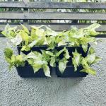 Maxona Black Vertical Garden Planter - 4 Pack
